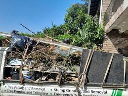 Best Dumpster Rental Services  in Roseburg Nth, OR